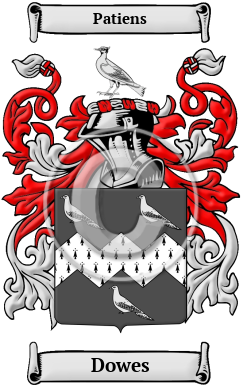 Dowes Family Crest/Coat of Arms