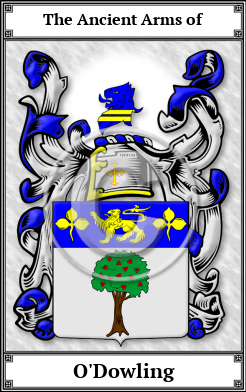 O'Dowling Family Crest Download (JPG) Book Plated - 600 DPI