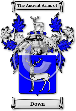 Down Family Crest Download (JPG) Legacy Series - 300 DPI