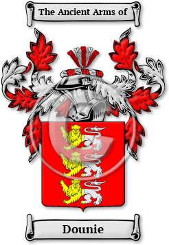 Dounie Family Crest Download (jpg) Legacy Series - 150 DPI