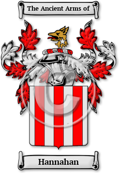 Hannahan Family Crest Download (JPG) Legacy Series - 600 DPI