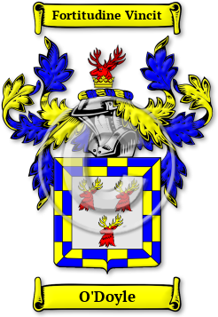 O'Doyle Family Crest Download (jpg) Legacy Series - 150 DPI
