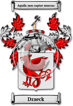 Draeck Family Crest Download (jpg) Legacy Series - 150 DPI