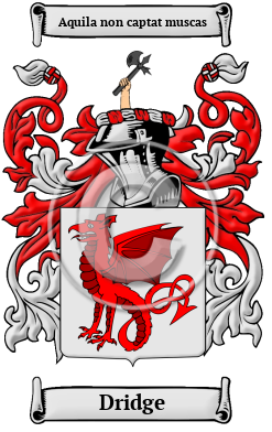 Dridge Family Crest Download (JPG) Heritage Series - 600 DPI