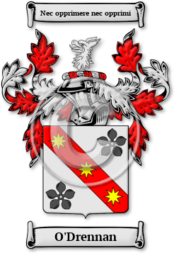 O'Drennan Family Crest Download (JPG) Legacy Series - 600 DPI