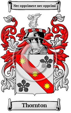 Thornton Family Crest Download (JPG) Heritage Series - 600 DPI