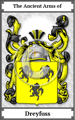 Dreyfuss Family Crest Download (JPG) Book Plated - 600 DPI