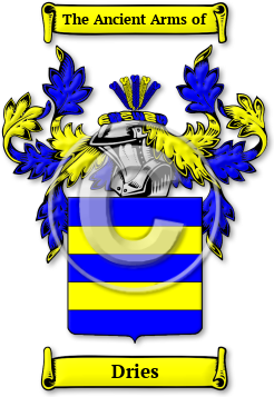 Dries Family Crest Download (JPG) Legacy Series - 600 DPI