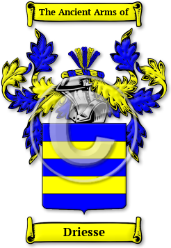 Driesse Family Crest Download (jpg) Legacy Series - 150 DPI