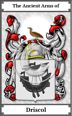 Driscol Family Crest Download (JPG)  Book Plated - 150 DPI