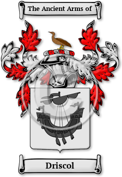 Driscol Family Crest Download (jpg) Legacy Series - 150 DPI