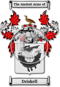 Driskell Family Crest Download (jpg) Legacy Series - 150 DPI