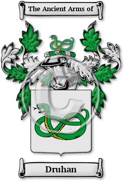 Druhan Family Crest Download (JPG) Legacy Series - 600 DPI