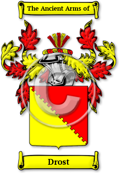 Drost Family Crest Download (jpg) Legacy Series - 150 DPI
