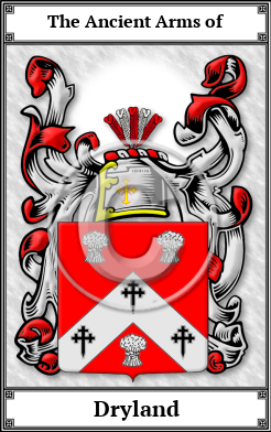Dryland Family Crest Download (JPG)  Book Plated - 150 DPI
