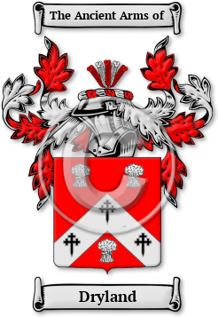 Dryland Family Crest Download (jpg) Legacy Series - 150 DPI