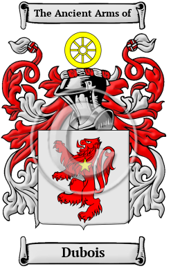 Dubois Name Meaning, Family History, Family Crest & Coats of Arms, English