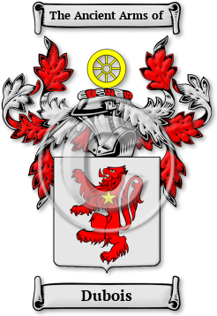 Dubois Family Crest Download (jpg) Legacy Series - 150 DPI