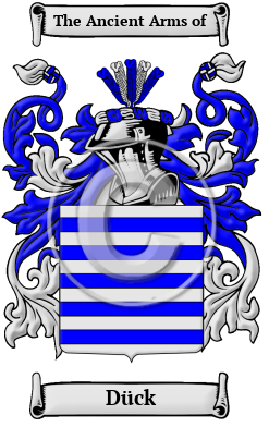 Dück Family Crest/Coat of Arms