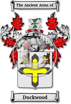 Duckwood Family Crest Download (jpg) Legacy Series - 150 DPI