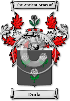 Duda Family Crest Download (jpg) Legacy Series - 150 DPI