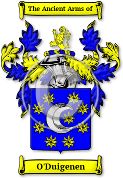 O'Duigenen Family Crest Download (jpg) Legacy Series - 150 DPI