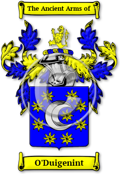 O'Duigenint Family Crest Download (jpg) Legacy Series - 150 DPI
