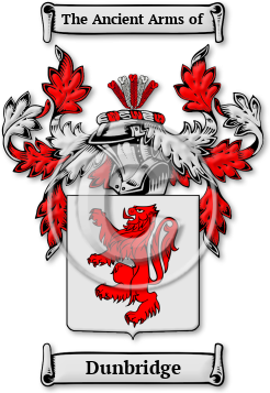 Dunbridge Family Crest Download (jpg) Legacy Series - 150 DPI