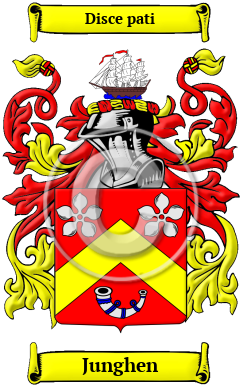Junghen Family Crest/Coat of Arms