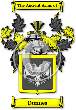 Dunnes Family Crest Download (jpg) Legacy Series - 150 DPI