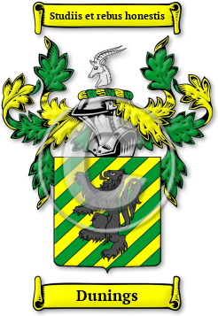 Dunings Family Crest Download (jpg) Legacy Series - 150 DPI