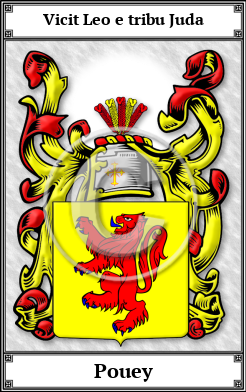 Pouey Family Crest Download (JPG)  Book Plated - 150 DPI