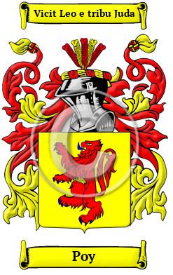 Poy Family Crest Download (JPG) Heritage Series - 600 DPI