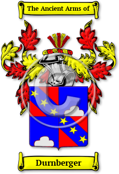 Durnberger Family Crest Download (jpg) Legacy Series - 150 DPI