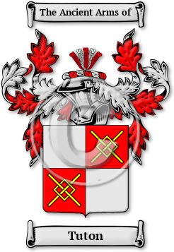 Tuton Family Crest Download (jpg) Legacy Series - 150 DPI