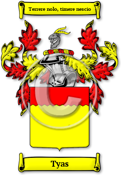 Tyas Family Crest Download (jpg) Legacy Series - 150 DPI