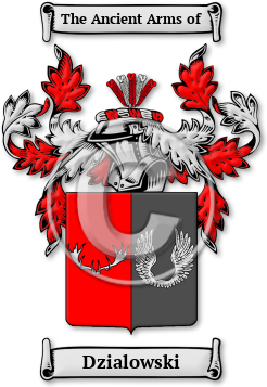 Dzialowski Family Crest Download (jpg) Legacy Series - 150 DPI