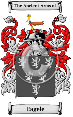 Eagele Family Crest/Coat of Arms