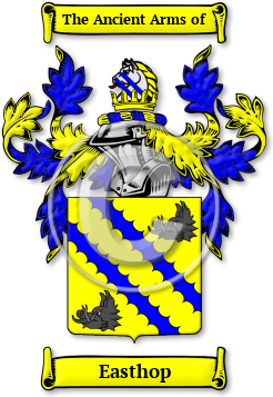 Easthop Family Crest Download (jpg) Legacy Series - 150 DPI