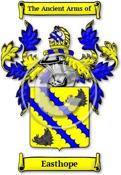 Easthope Family Crest Download (jpg) Legacy Series - 150 DPI