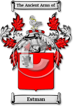 Estman Family Crest Download (jpg) Legacy Series - 150 DPI