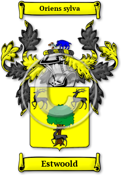 Estwoold Family Crest Download (jpg) Legacy Series - 150 DPI