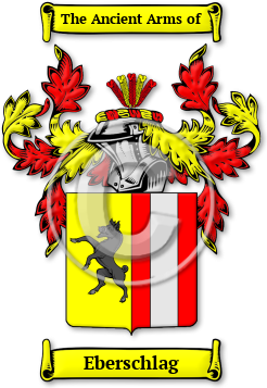 Eberschlag Family Crest Download (jpg) Legacy Series - 150 DPI