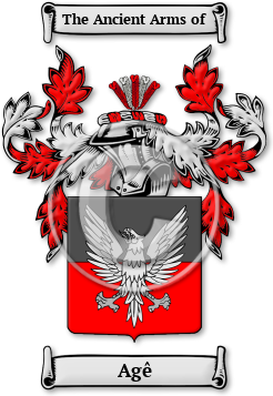 Agê Family Crest Download (JPG) Legacy Series - 600 DPI
