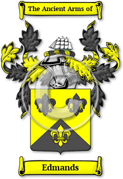 Edmands Family Crest Download (jpg) Legacy Series - 150 DPI