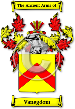 Vanegdom Family Crest Download (JPG) Legacy Series - 600 DPI