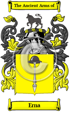 Erna Family Crest/Coat of Arms
