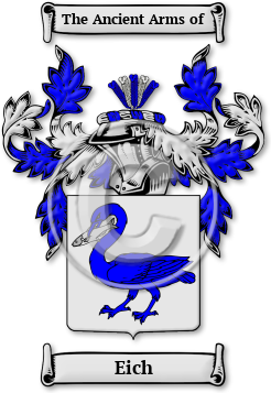 Eich Family Crest Download (JPG) Legacy Series - 300 DPI
