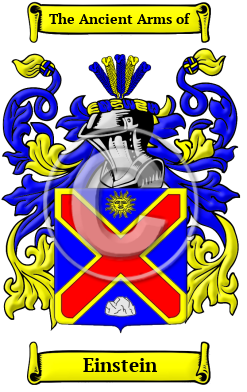 Einstein Family Crest Download (JPG) Heritage Series - 600 DPI