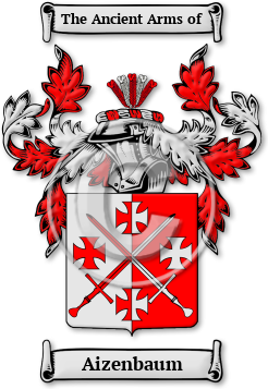 Aizenbaum Family Crest Download (jpg) Legacy Series - 150 DPI